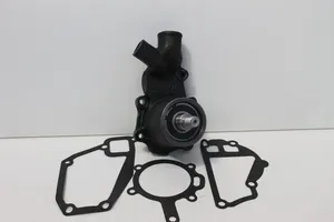 Water Pump 4222002M91 – OEM