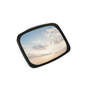 Wing Mirror 4288898M91 – OEM