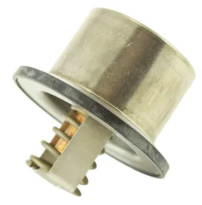 Cummins ISX Dual Cam, N14 Thermostat, New (4336659) — 4