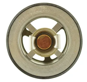 Cummins ISX Dual Cam, N14 Thermostat, New (4336659) — 2