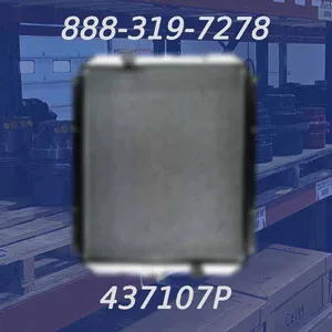 437107P - Radiator