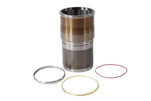 ISX Dual Cam Engine Rebuild Kit, 4376174, Cummins, New — 5