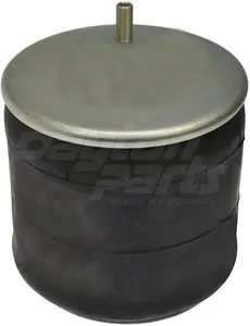 Dayton Parts 452-8944L Air Spring
