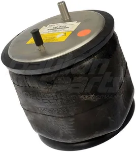 Dayton Parts 452-9223L Air Spring