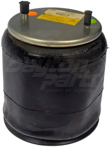 Dayton Parts 452-9241L Air Spring