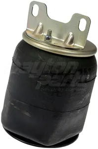 Dayton Parts 452-9297L Air Spring