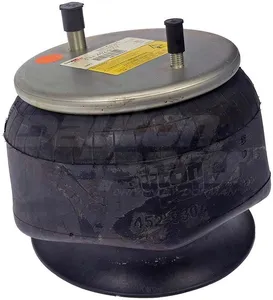 Dayton Parts 452-9307L Air Spring
