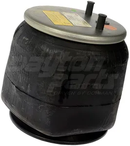 Dayton Parts 452-9571L Air Spring