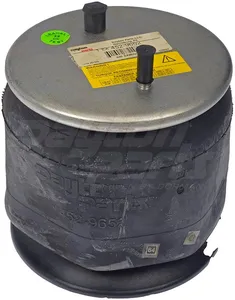 Dayton Parts 452-9652L Air Spring
