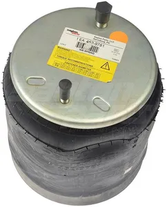 Dayton Parts 452-9781L Air Spring