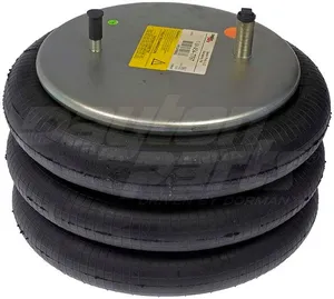 Dayton Parts 454-7797L Air Spring