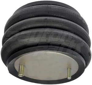 Dayton Parts 454-8008L Air Spring — 4