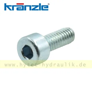 46.002 Innensechskantschraube M4x10 DIN 912-8.8 VZ - Kränzle Original