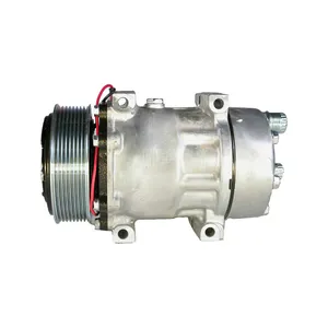 A/C Compressor 4666 4022 for Ford Truck F650 F750