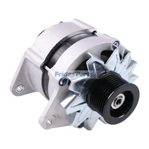 Alternator 47518999 for New Holland Tractor TS6.110 6610S TS6.140 7610S TS6.120 5610S TS6.125 TS6000 TS6020
