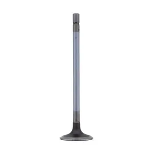 Pai 491012 Navistar 1839968C1 Intake Valve — 5