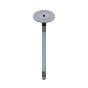 Pai 491012 Navistar 1839968C1 Intake Valve — 2