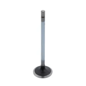Pai 491012 Navistar 1839968C1 Intake Valve