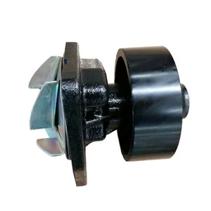 Water Pump 4934058 for Cummins Engine L375 QSL9 CM ISC ISL