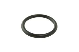 Cummins Oil Cooler Seal Ring, New (4966084) — 2
