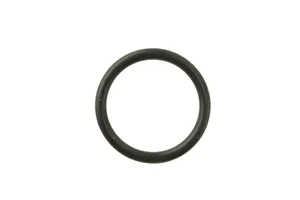 Cummins Oil Cooler Seal Ring, New (4966084)