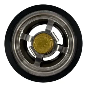 DS-4973373 Thermostat For Cummins N14 Diesel Engines — 2