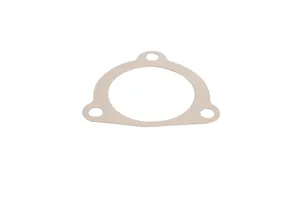 4N1059 | GASKET