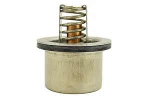 4W4011 Thermostat 170 Degree, New OEM Quality Replacement for Caterpillar… — 5