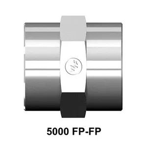 5000 FP-FP — 5000-12-06