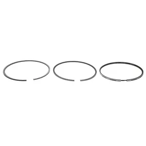 Pai 505060 Cummins 3803961 Piston Ring Set
