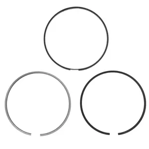 Pai 505060 Cummins 3803961 Piston Ring Set — 2