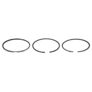 Pai 505083 Cummins 3802040 Ring — 2
