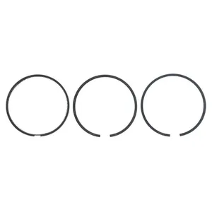 Pai 505083 Cummins 3802040 Ring