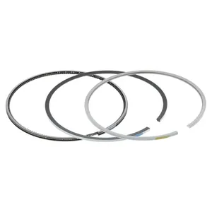 Pai 505100 Cummins 3803977 Piston Ring Set — 2