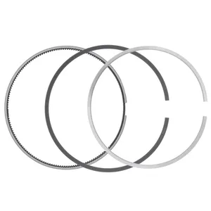 Pai 505100 Cummins 3803977 Piston Ring Set — 3