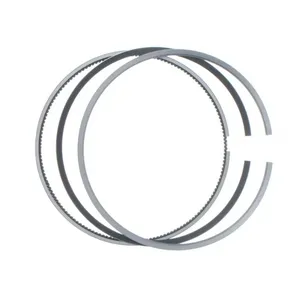 Pai 505100 Cummins 3803977 Piston Ring Set