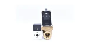 Ingersoll Rand Blowdown Valve Replacement - 54654652