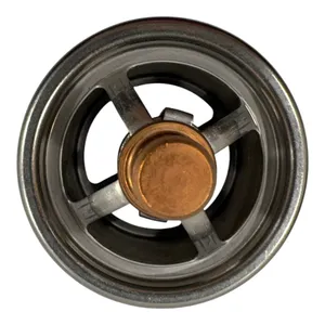 Cummins 5538724 Thermostat For Diesel Engines — 2