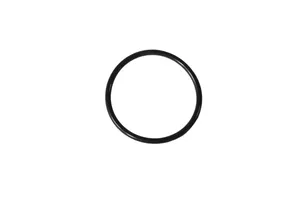 Caterpillar Oil Cooler O-Ring Seal, New (5P7816) — 2