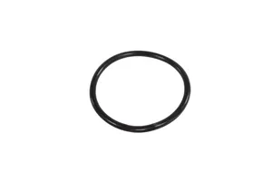 Caterpillar O-Ring Seal, New (619455) — 3