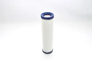 Zeks Coalescing Filter Replacement - 620101