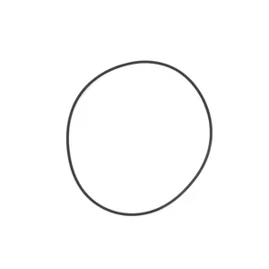 Pai 621220 Detroit 8929013 Rectangular Sealing Ring — 2