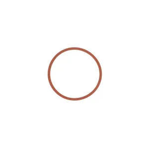 Pai 621261 Detroit 23532850 Rectangular Sealing Ring — 2