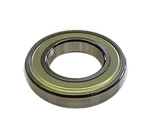 6218 - Bearing