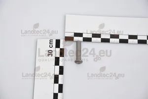 Rivet suitable for CNH 65474 10x — 2