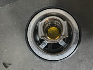 PAI THERMOSTAT 180 681830 — 2