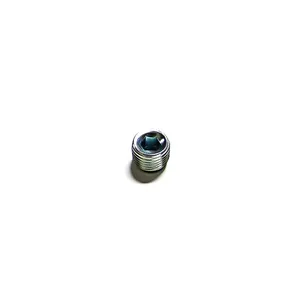 Cummins Camshaft Plug, New (68193)