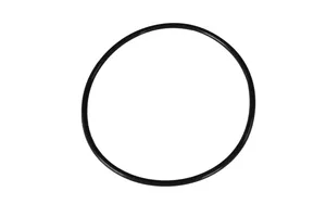 Caterpillar O-Ring Seal, New (6V1197) — 3