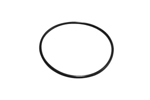Caterpillar O-Ring Seal, New (6V1197)