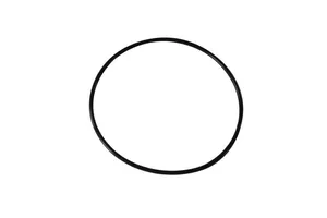 Caterpillar C12 Mounting Seal Ring, New (6V3834) — 2